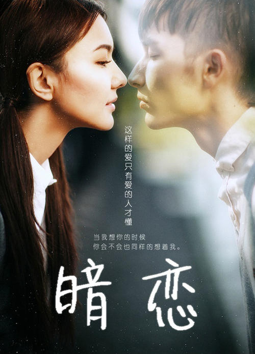 Università di Urbino经济学文凭证书